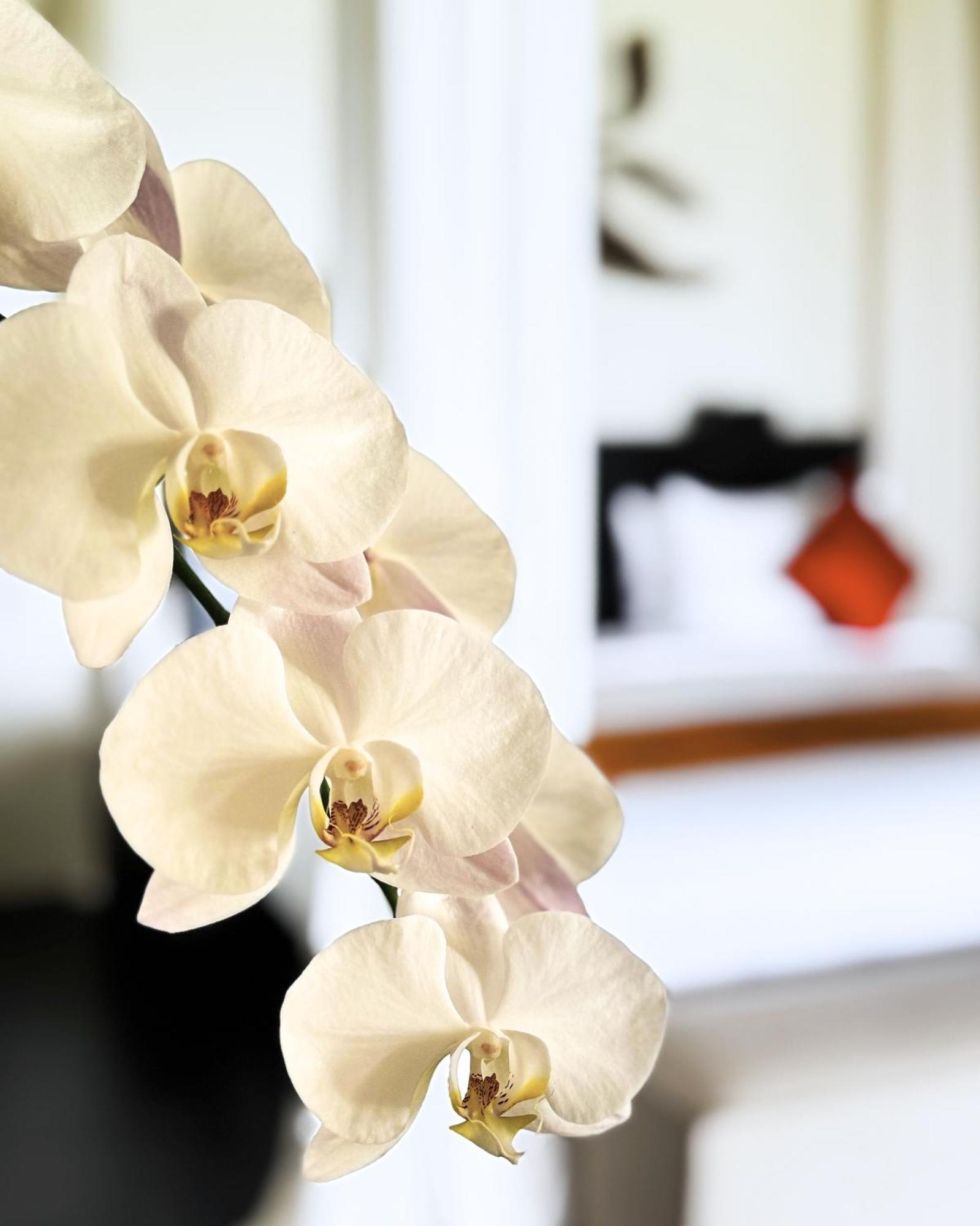 The Jing Resort 5*